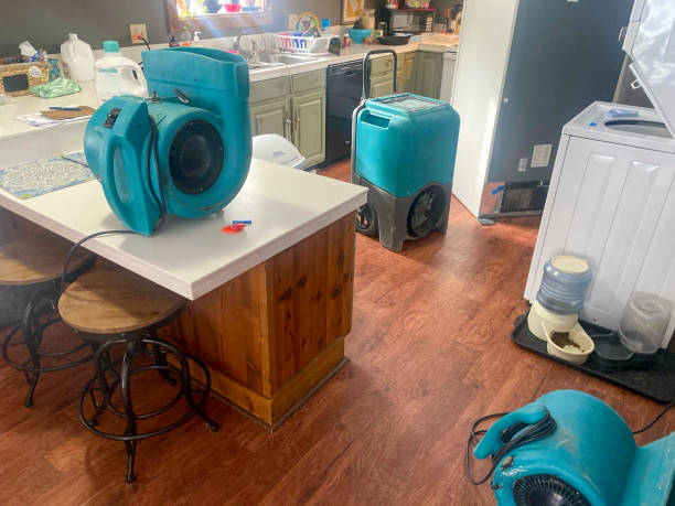 Best Residential water damage restoration  in Waggaman, LA