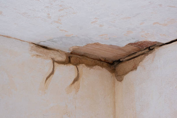 Best 24-hour water damage restoration  in Waggaman, LA