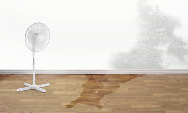 Water damage restoration insurance claims in Waggaman, LA