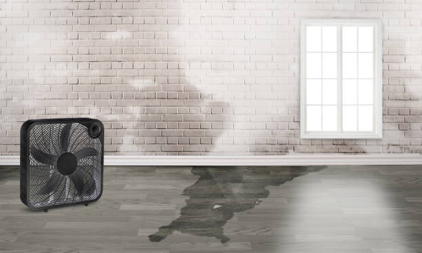 Best Water damage restoration near me  in Waggaman, LA