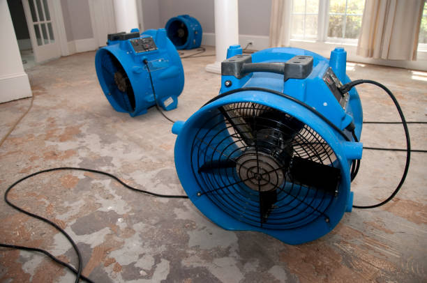 Best Fire Damage Restoration  in Waggaman, LA