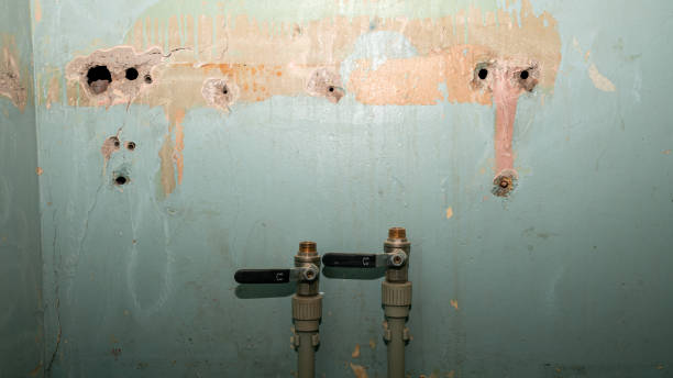 Best Water damage restoration company  in Waggaman, LA
