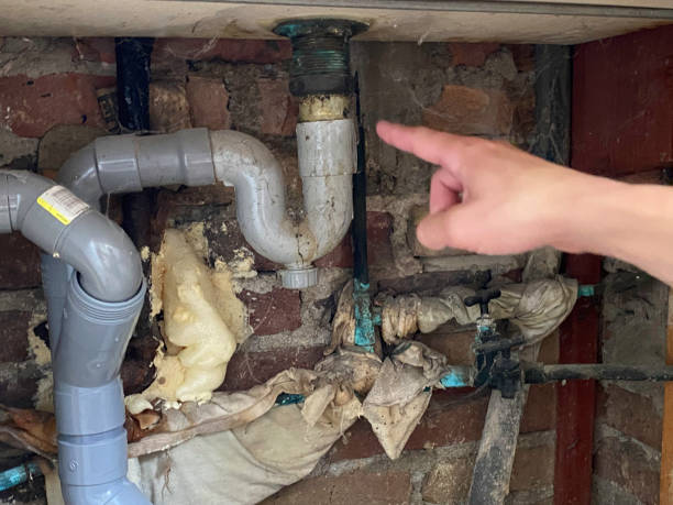 Best Professional water damage repair  in Waggaman, LA