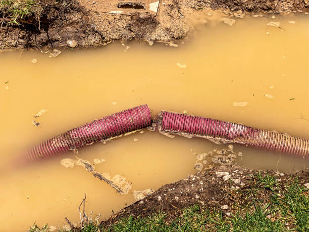 Professional Water damage restoration in Waggaman, LA