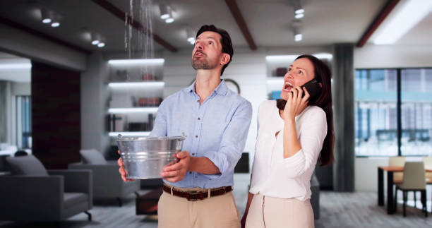 Best Local water damage restoration  in Waggaman, LA