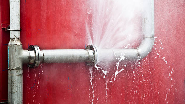 Best Flooded house restoration  in Waggaman, LA